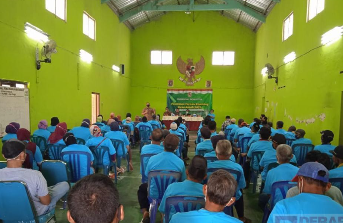 Pelatihan Ternak